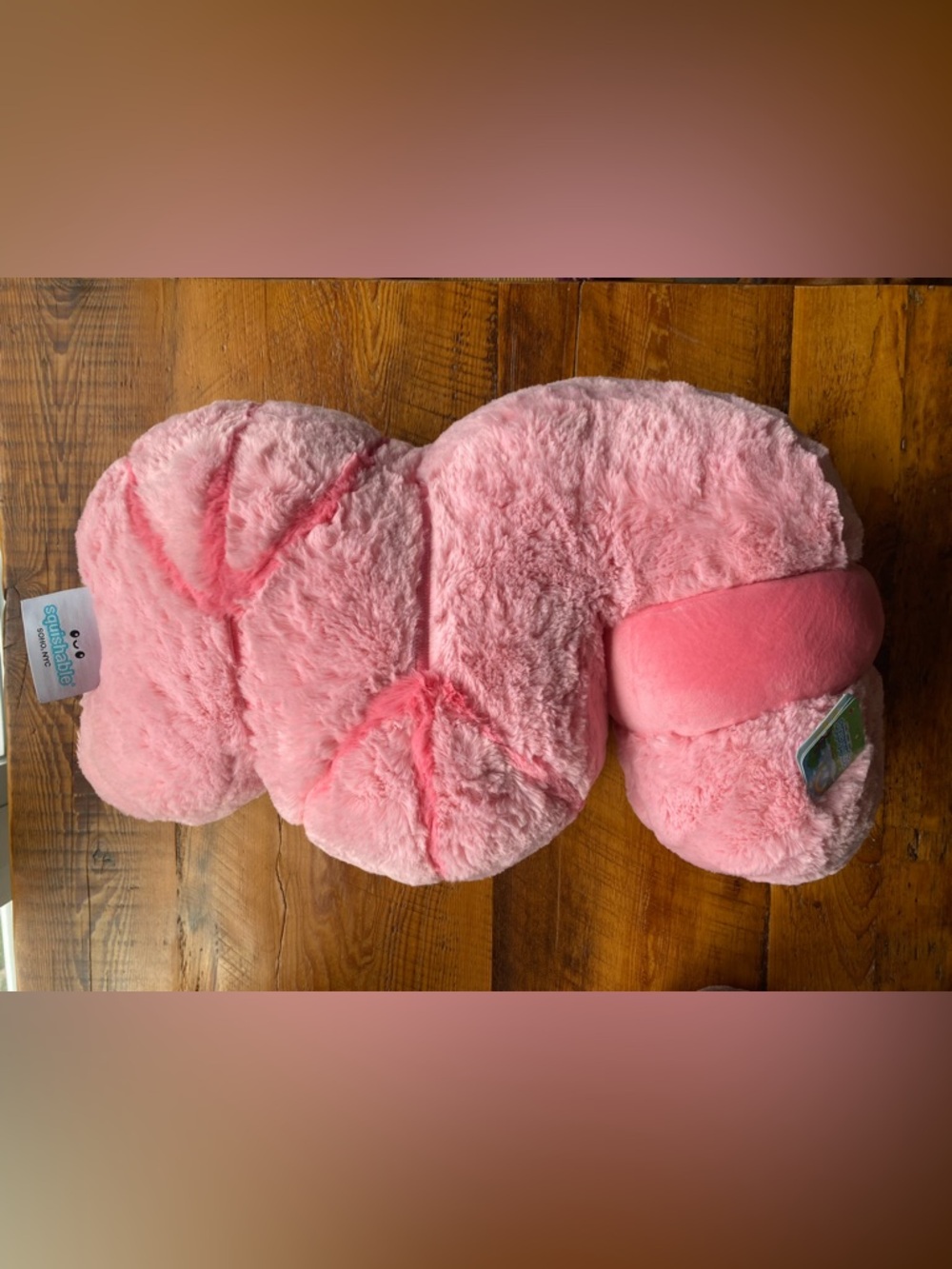 NWT Squishable Worm 🪱 - Picture 3 of 7